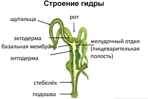 Black sprut tor blacksprut click