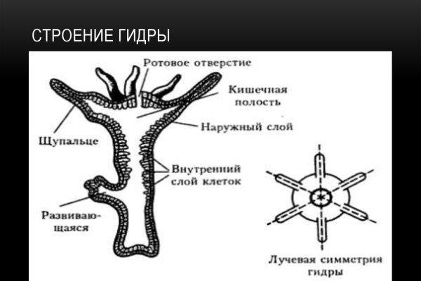 Блэк пост blacksprut adress com