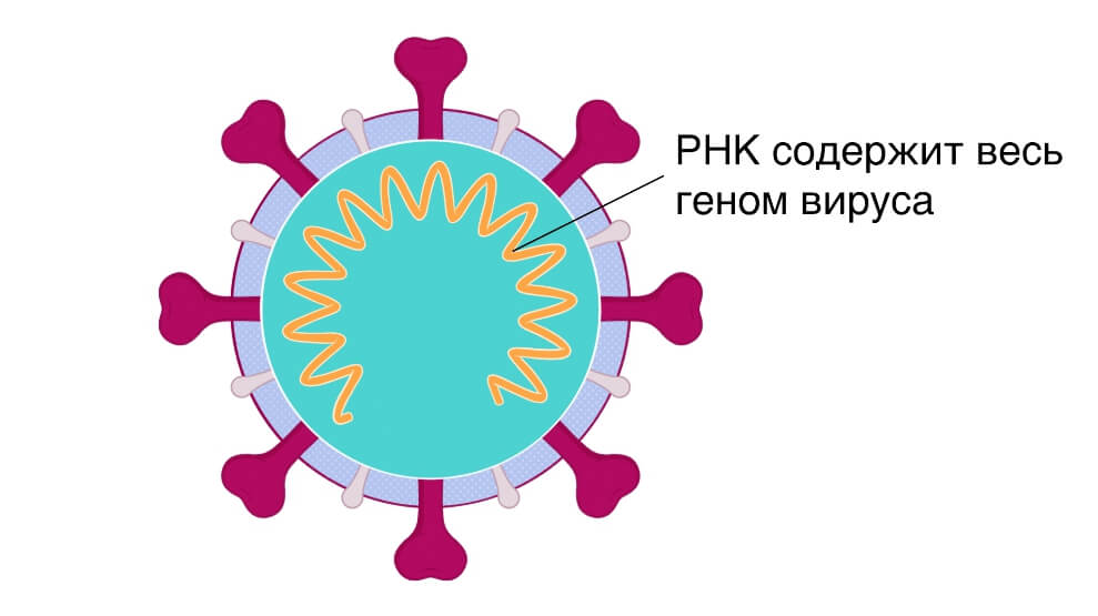 Аккаунт блэк спрут bs2webes net