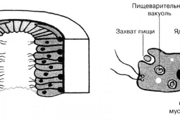 Bs ru официальный сайт