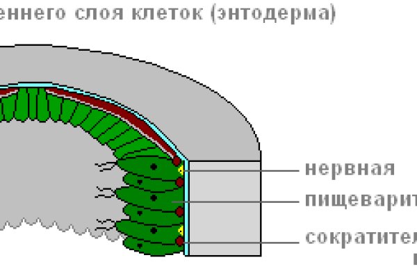 Ссылки на тор блэк спрут