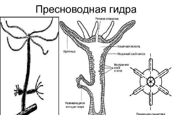 Блэкспрут ссылка пв