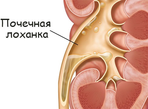 Блэк спрут актуальные ссылки