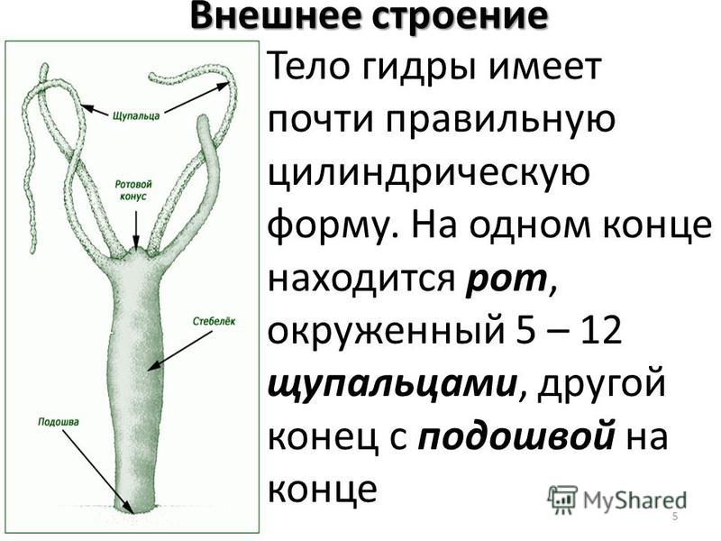 Блэкспрут ссылка pw 1blacksprut me